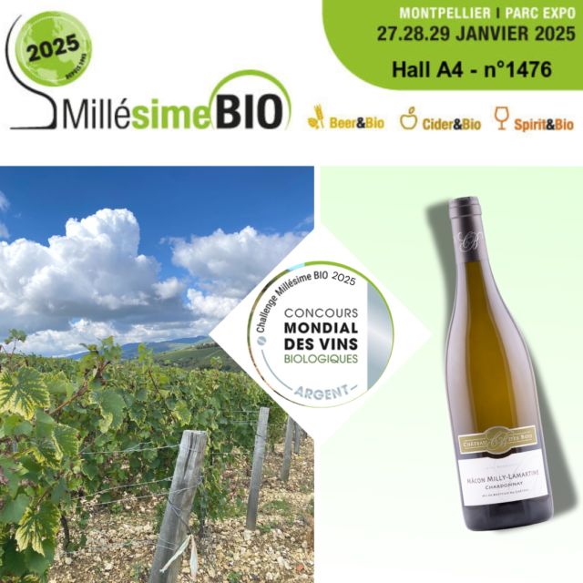 Nous recevons ce jour une Médaille d'Argent 🥈 pour notre Mâcon Milly Lamartine blanc 2023 au Challenge Millésime BIO🌿Concours Mondial des Vins Biologiques. 
Amis professionnels du Vin et de la Restauration venez le déguster à Montpellier du 27 au 29 Janvier. 
#millesimebio #vinbiologique  #chardonnay #maconmillylamartine #bourgognedusud #chateaudelagreffiere #wineprofessional #restaurateurs #caviste #sommelier