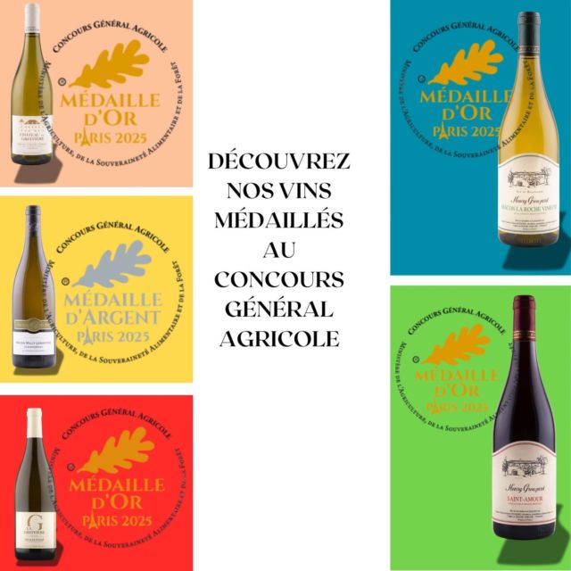 Découvrez nos vins médaillés au Concours Général Agricole de Paris 2025 🥇🥇
#concours #concoursgeneralagricoledeparis #vins #medailles #or #argent #vinssignatures #maconlarochevineuse #maconmillylamartine #pouillyfuisse #saintamour #maconnais #chateaudelagreffiere