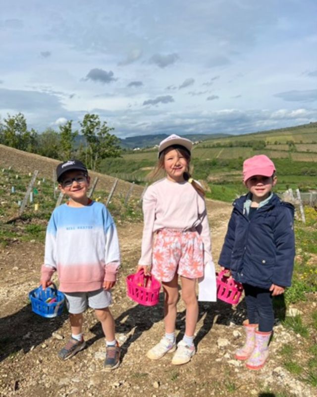 🐣🌸 Un immense merci à toutes et à tous d’être venus participer à notre chasse aux œufs de Pâques !
Nous espérons que vous avez passé un bon moment et que les enfants se sont régalés avec leurs chocolats ! 🍫🐰
Un grand bravo à Laura Catherin - @dubycatherin , notre grande gagnante de la tombola ! 🎉
Elle repart avec une superbe poule en chocolat 🐔🍫
Pour garder un joli souvenir de cette belle journée ensoleillée, voici quelques photos que nous avons le plaisir de partager avec vous ☀️📸
À l’année prochaine pour encore plus de rires, de jeux… et de chocolat ! 💛
#Pâques #Chasseauxoeufsdepâques #Chocolats #Vins #Sudbourgogne #Maconnais #Chateaudelagreffiere