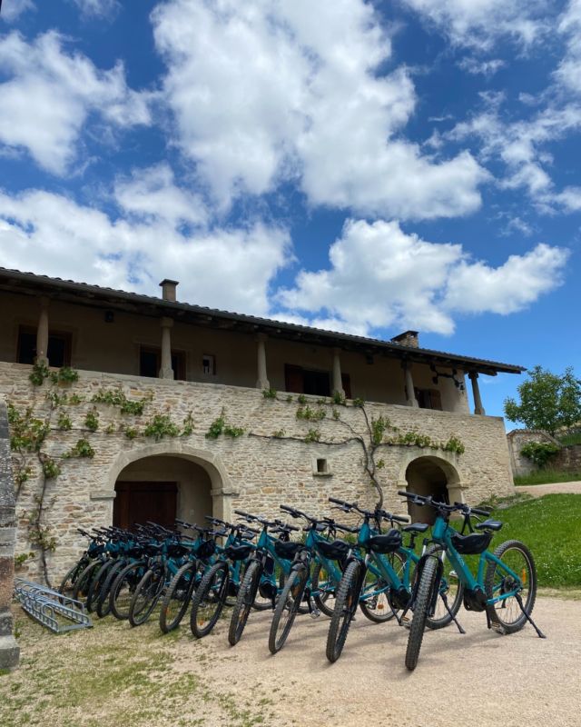 🚴‍♀️ Explorez le Mâconnais à vélo électrique
En balade libre ou accompagnée, profitez pleinement des paysages, sans effort.
🌿 Deux expériences selon vos envies :
• Une balade guidée de 2h avec une pause dégustation dans les vignes suivi de la visite du domaine 
• Une balade libre, en demi-journée, le matin ou l’après-midi
🥪 Envie d’une pause gourmande ?
Un pique-nique est proposé en option avant ou après votre balade à vélo. 
⚡ Assistance électrique = confort garanti
Pédalez en toute facilité et laissez-vous porter par les paysages du Mâconnais.
📲 Réservez directement en ligne sur notre site internet : https://chateaudelagreffiere.com/oenotourisme/
#balade #vélo #guidée #assistanceelectrique  #dégustation #vignes #Maconnais #Chateaudelagreffiere
